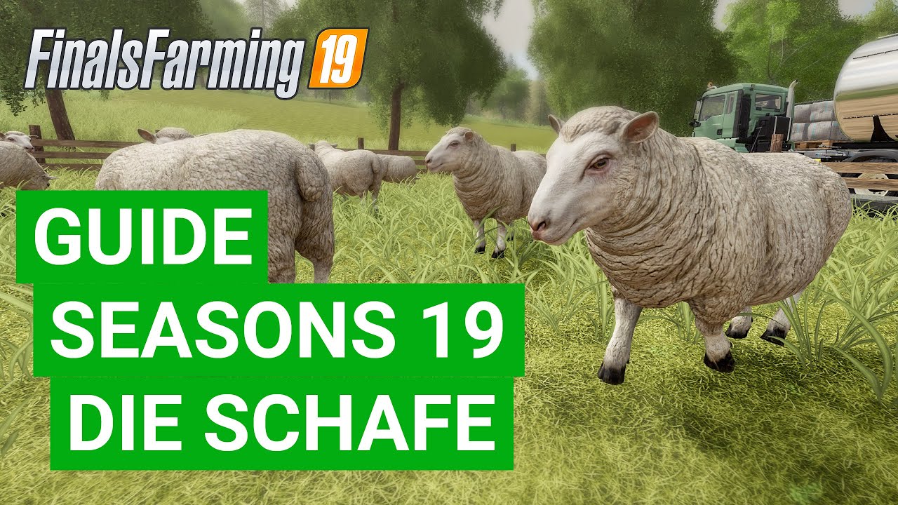LS19 Seasons - Ohne Schafe ist alles doof? (Komplexer als ich dachte!)  [MOD: Seasons 19]