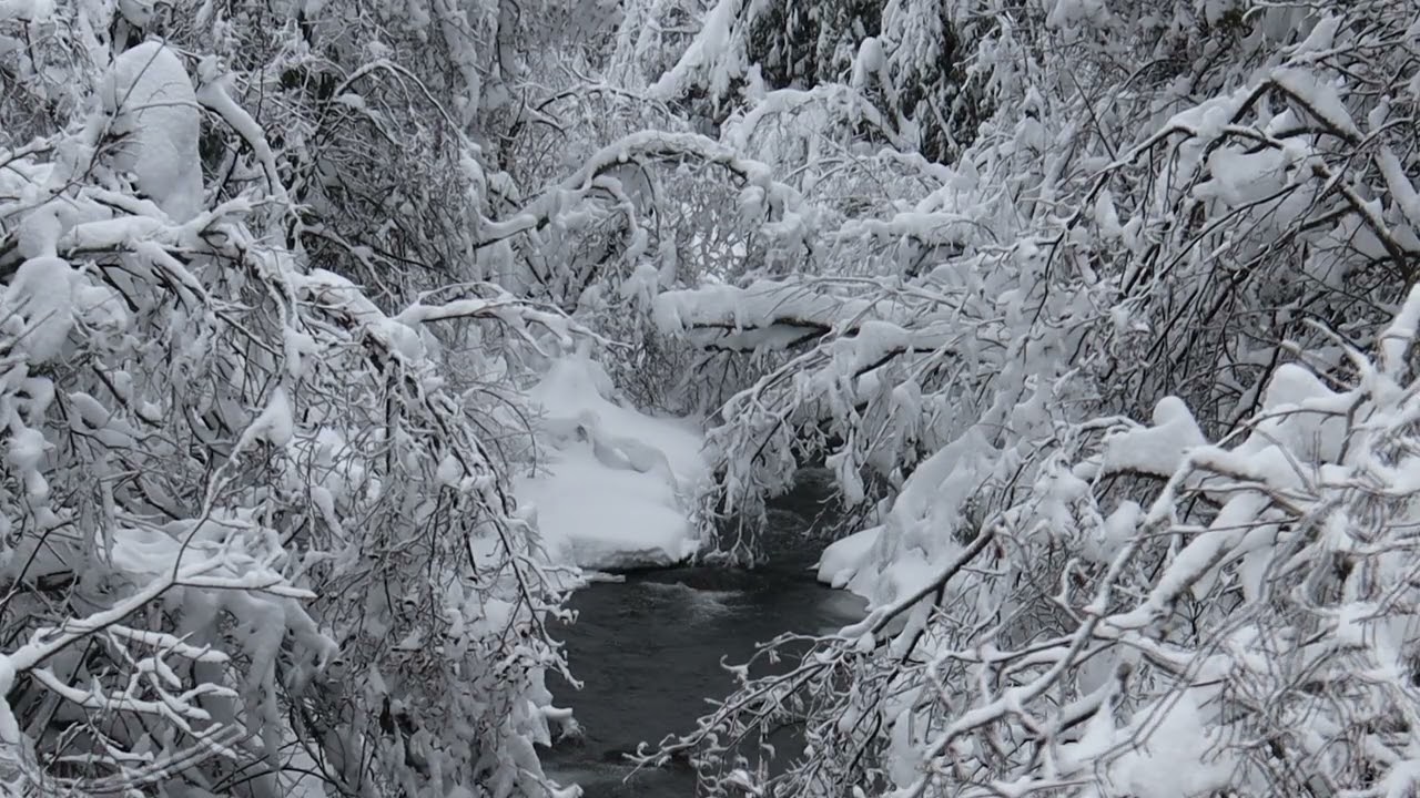 Winter Forest Stream in 4K ❄️ 3 Hours of Relaxing Water Sounds