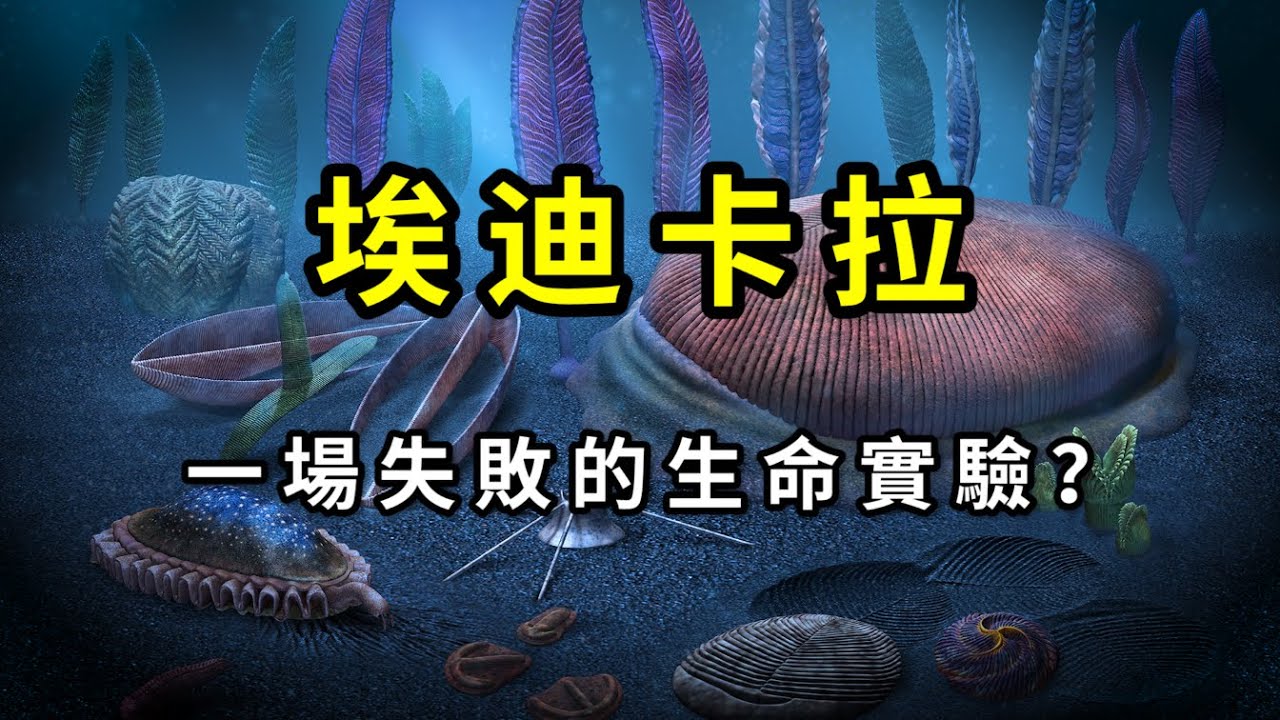 埃迪卡拉之謎：動物始祖？抑或演化歧途？