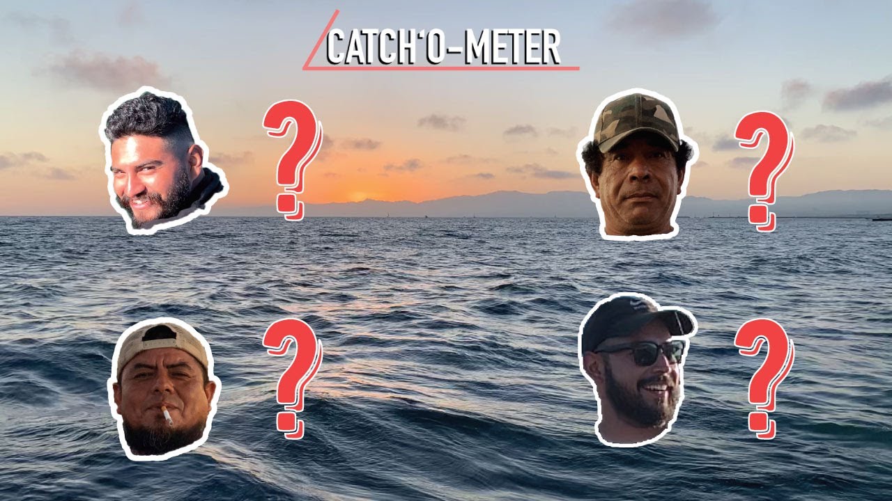 Fish & Company - Catch'O-Meter