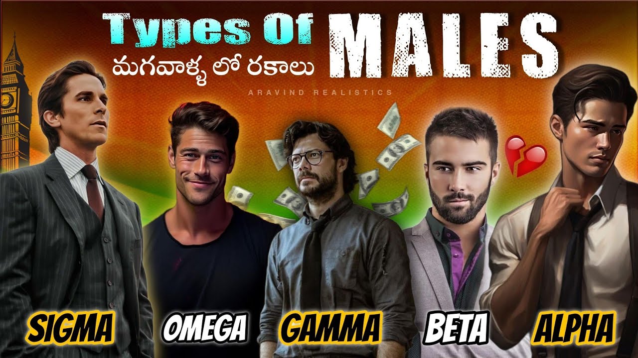 Types of Males explained in Telugu || మగవాళ్ల లోని రకాలు || Aravind Realistics #sigmamale #alphamale