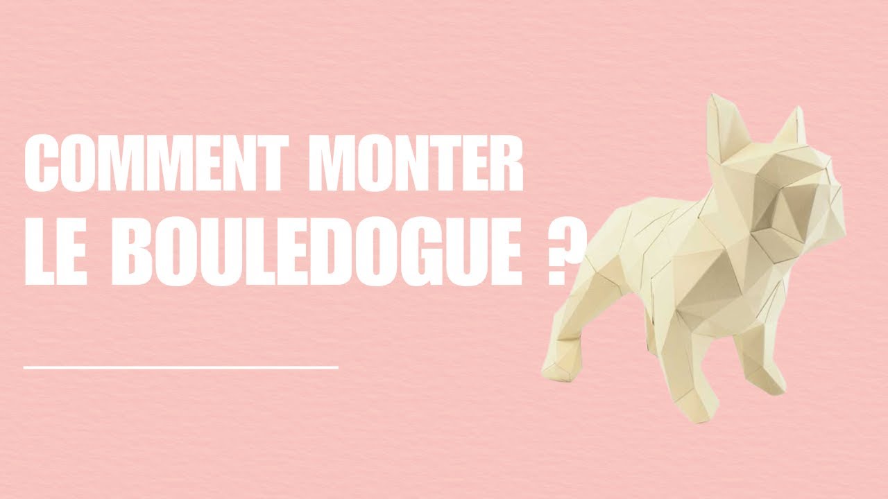 Montage du bouledogue