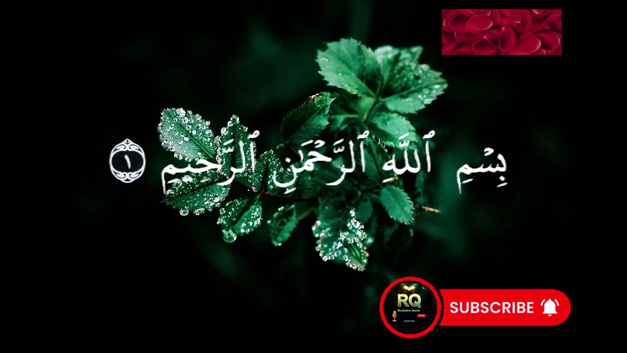 Fall Asleep to Beautiful Quran Recitation | Peaceful Quran for Deep Sleep