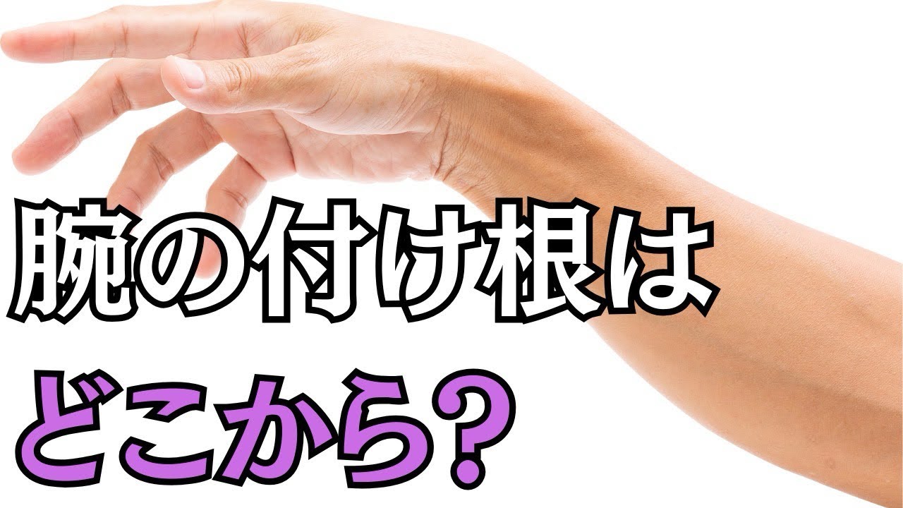 腕の付け根はどこから？肩ではありません