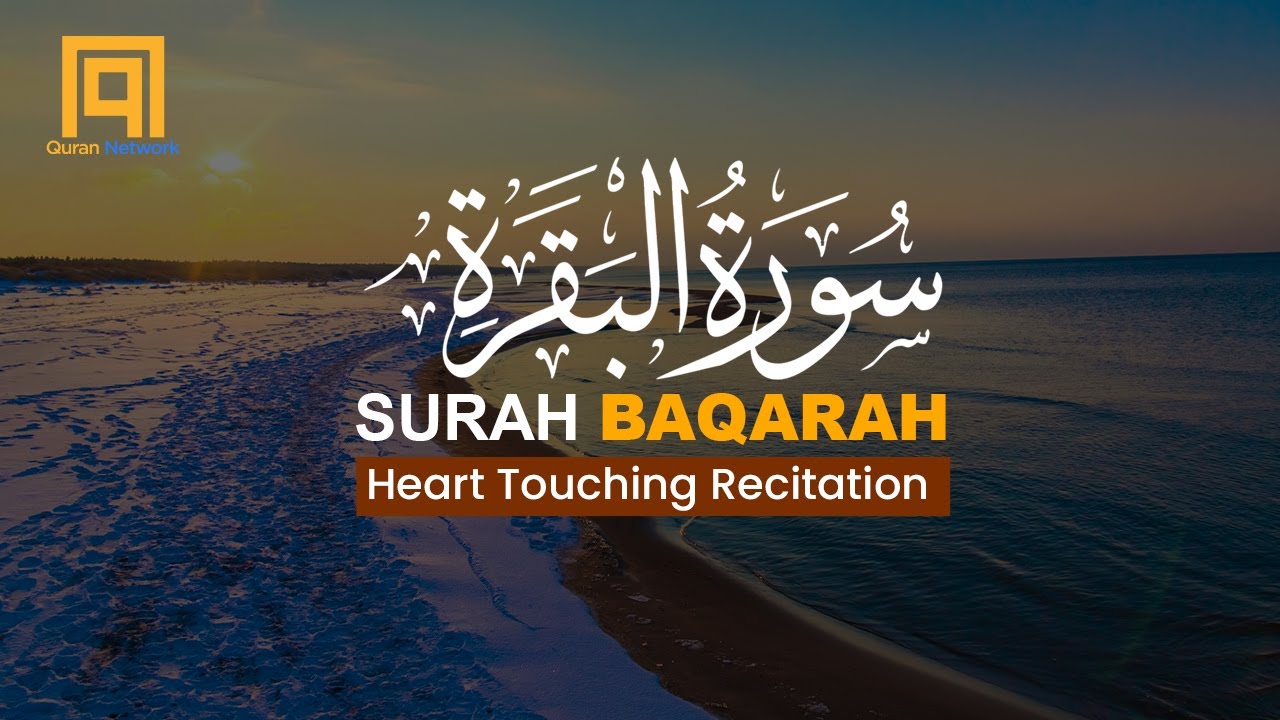 Surah Al Baqarah Sheikh Ismail Annuri إسماعيل النوري | Quran Network