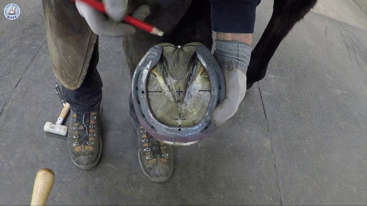 How to check the hot fitting on the groundsureface of the horseshoe