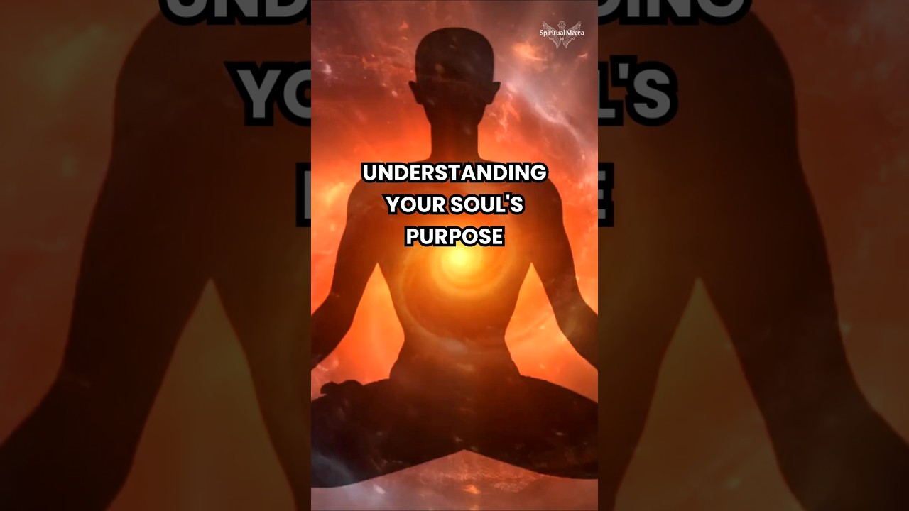 Finding your soul's purpose #soul #purpose #spirituality #spiritual #mindfulness #wisdom #shorts