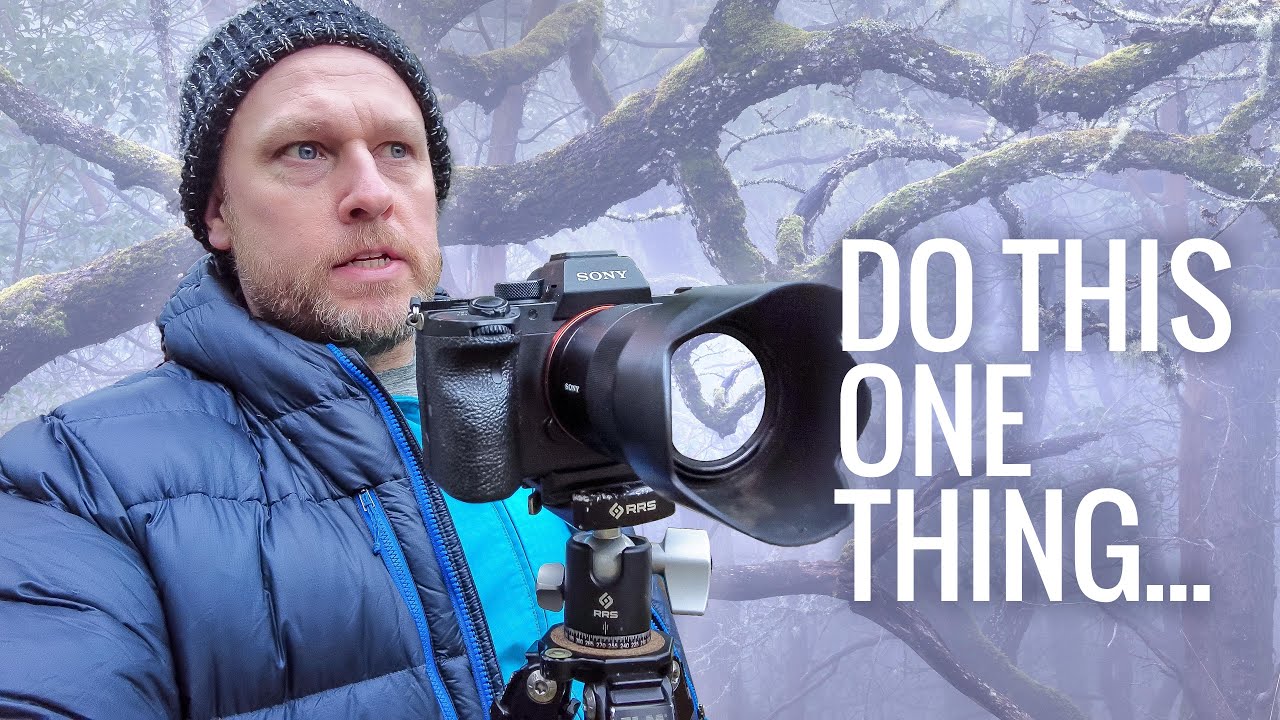 How To Photograph Trees and Foggy Forests For Landscape Photography