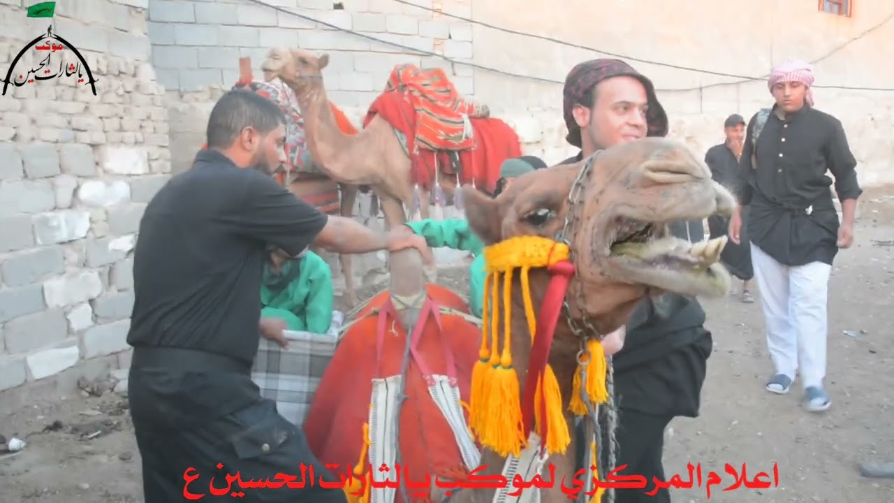 ضعن موكب يالثارات الحسين التغطية الاعلامية لموكب يالثارات الحسين ربعينيه الامام الحسين#حالات_واتساب