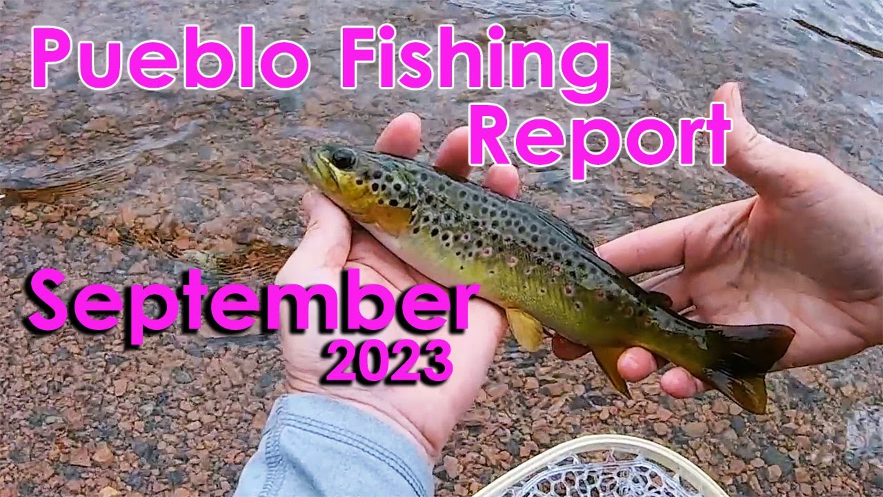 Pueblo Fishing Report September 2023 Tailwater Reservoir & More