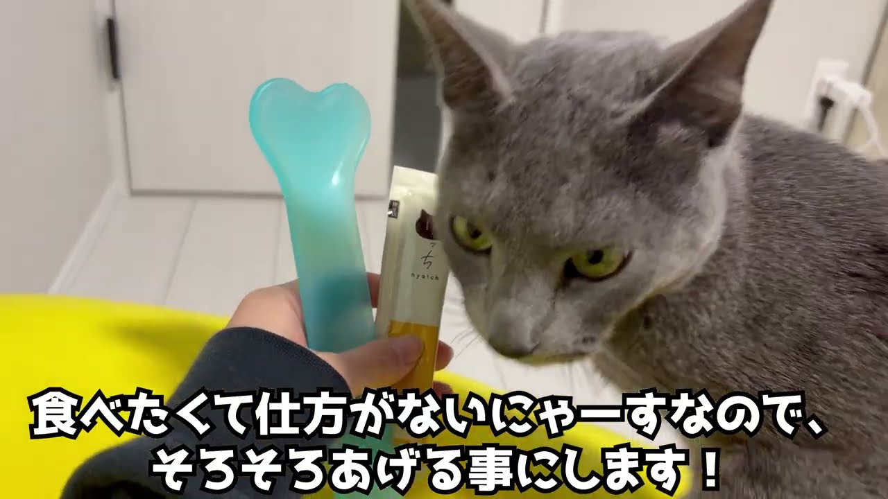 【遊んで♪】おやつも食べる！