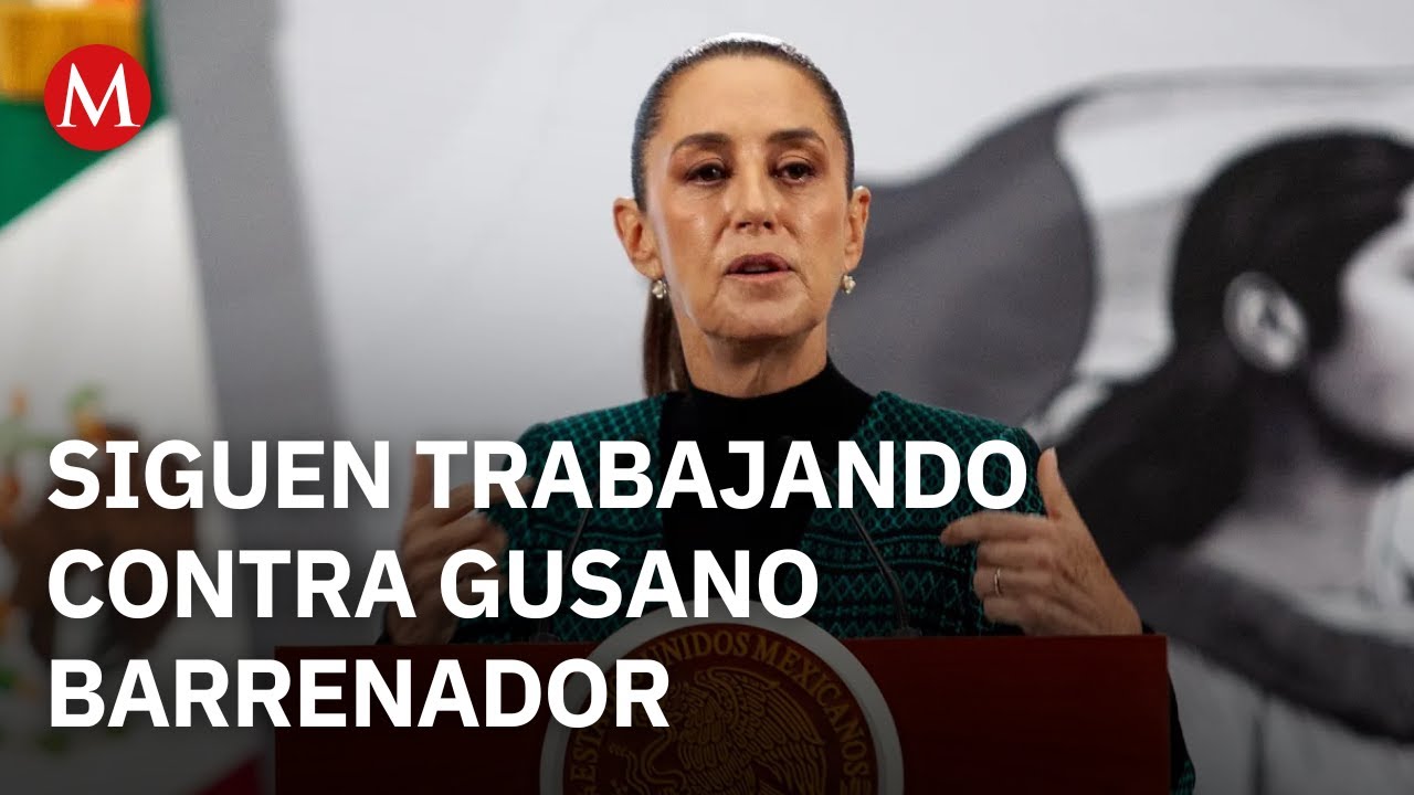 A&uacute;n no hay fecha para reapertura de frontera de EU al ganado: Sheinbaum