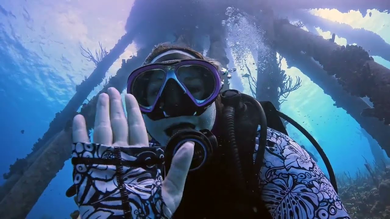 Two Bucket-List Critters in One Dive 🤯 | Bonaire Seahorse & Frogfish Encounter