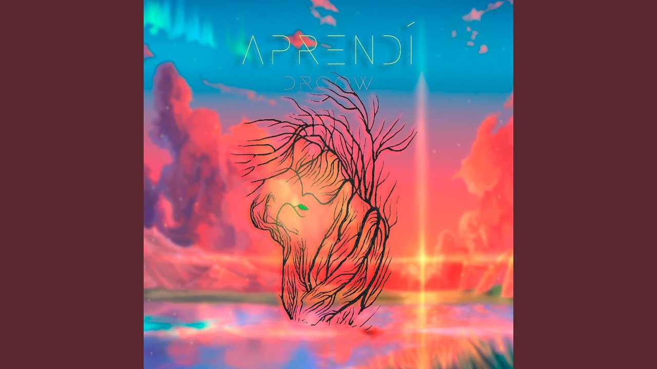 Aprendí