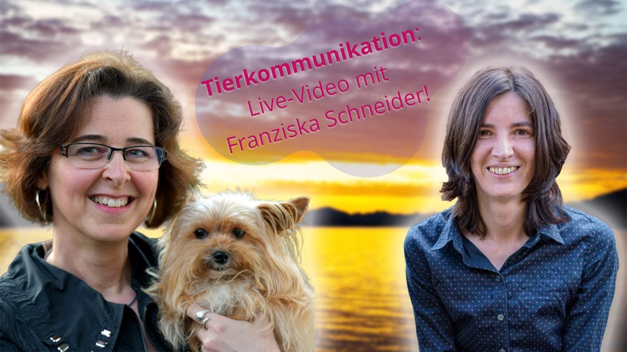 Tierkommunikation &ndash; Wenn Lieblingsrudel und Tierstimmung sich treffen!