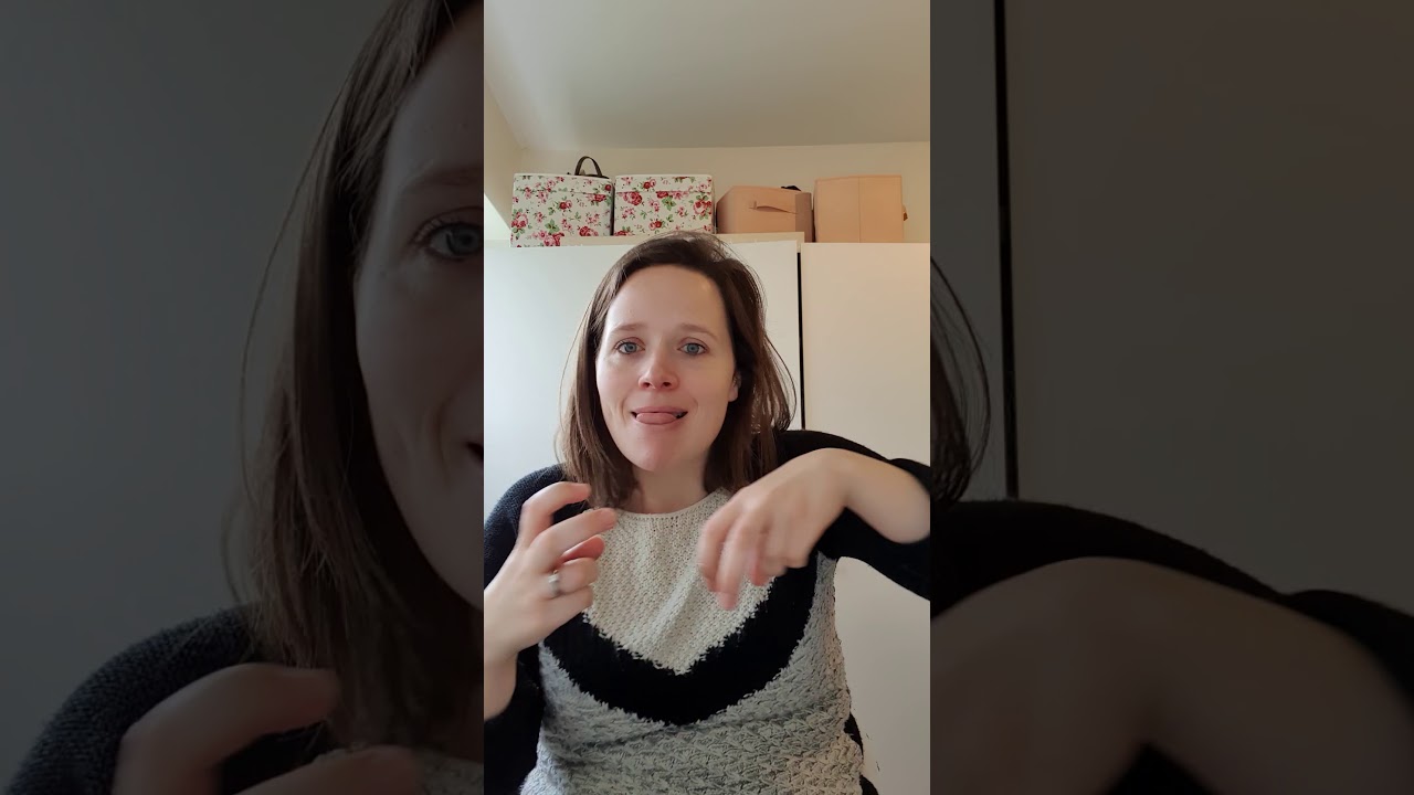 My Pets - BSL Level 1 Receptive Assessment Video