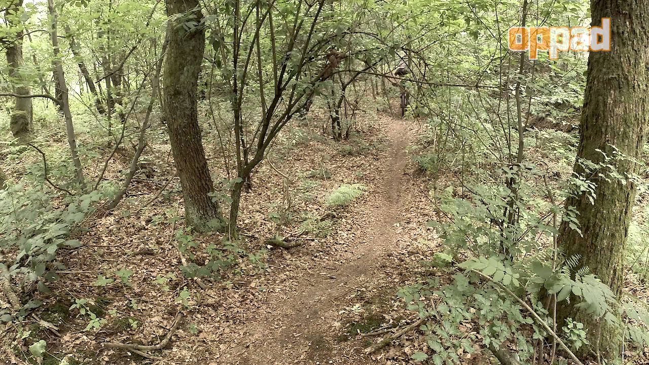 Test Focus Super Bud 29r 3.0 mountainbike, 2014