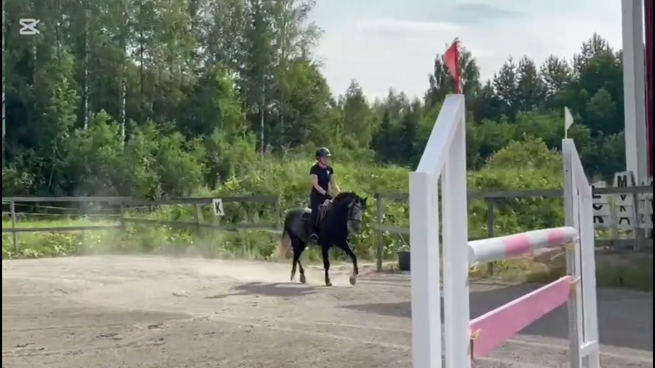 Erica & Jesse ulkokentällä 