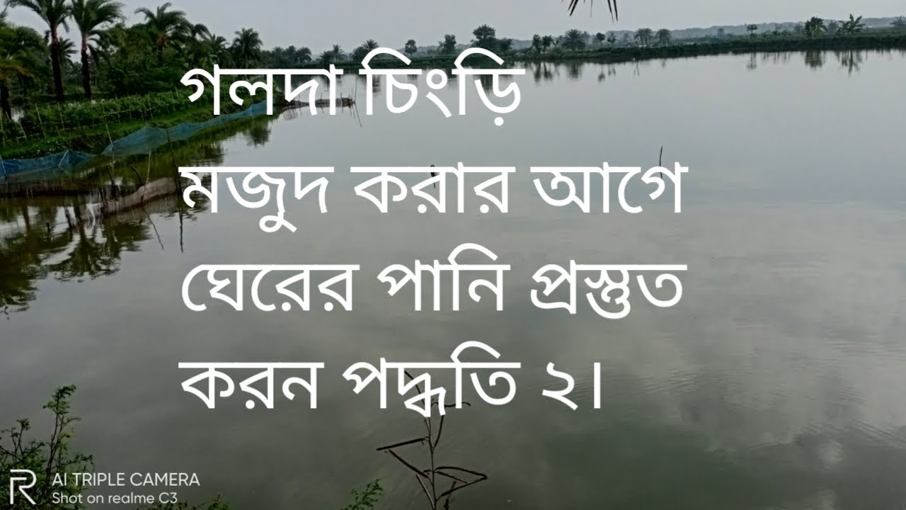 গলদা চিংড়ি মজুদ করার আগে ঘেরের পানি প্রস্তুত করন পদ্ধতি ২।