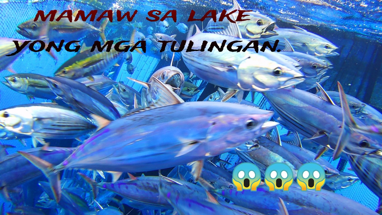 EP55 MOKANG HINDI NA TULINGAN SA LAKE