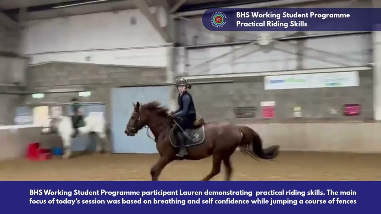 Lauren BHS Working Student Programme | Cherry Orchard Equine Centre