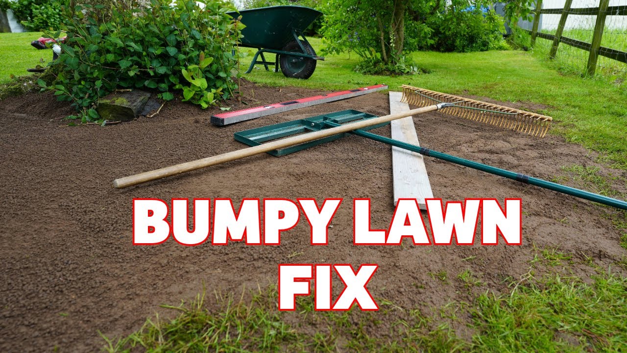 How to Fix Dips and Holes in Your Lawn (The Easy Way!)