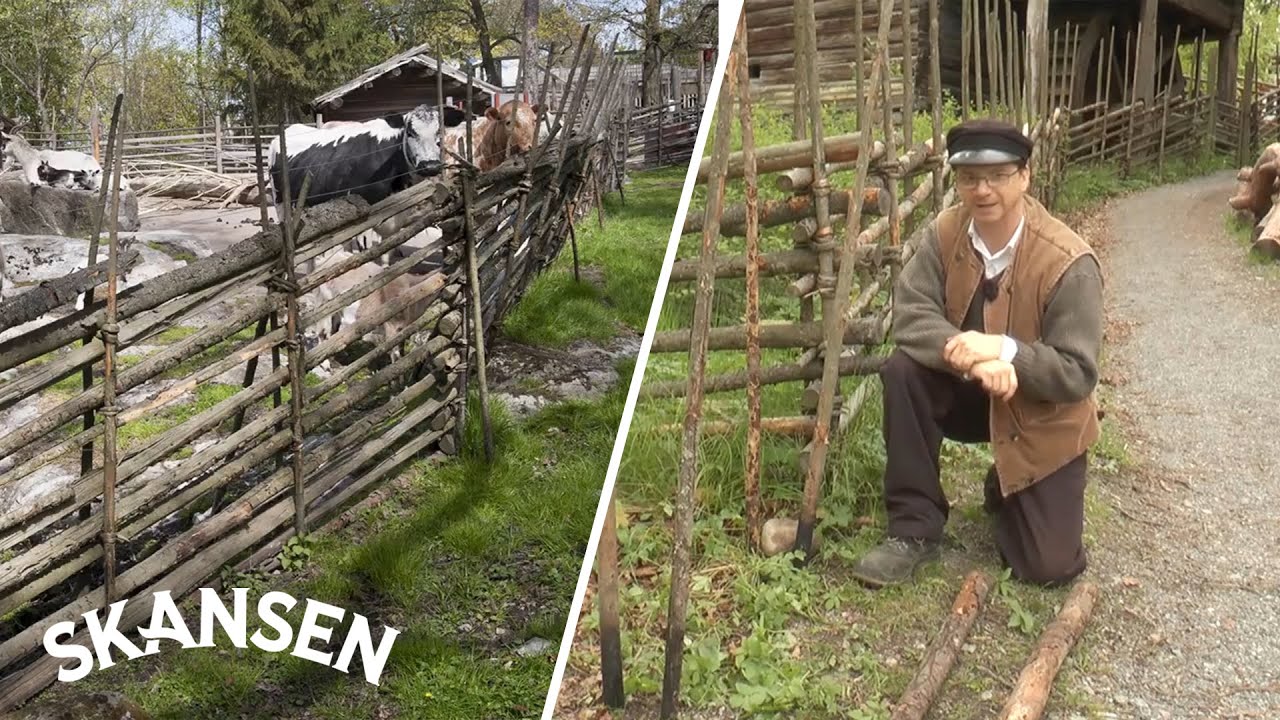 BYGG EN GÄRDESGÅRD – med Skansen