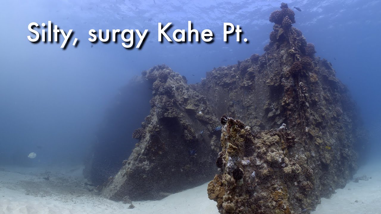 Silty, surgy, yet relaxing dive at Kahe Point yesterday afternoon...