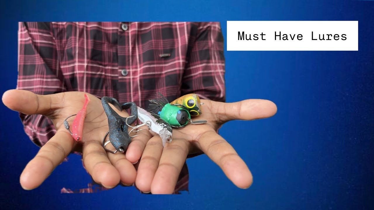 Best Fishing Lures in India for Beginners(Don’t Waste Money!)