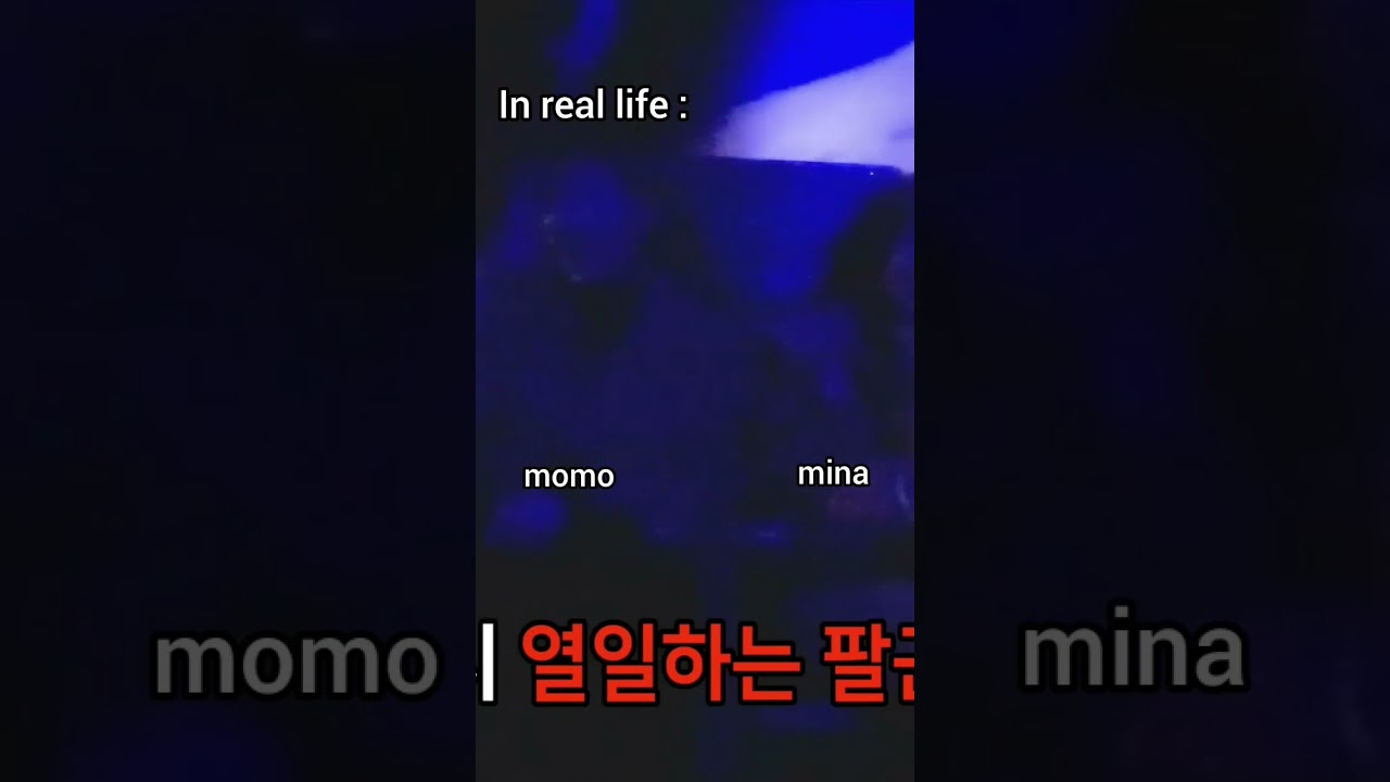 Momo needs to protect her throat after sitting