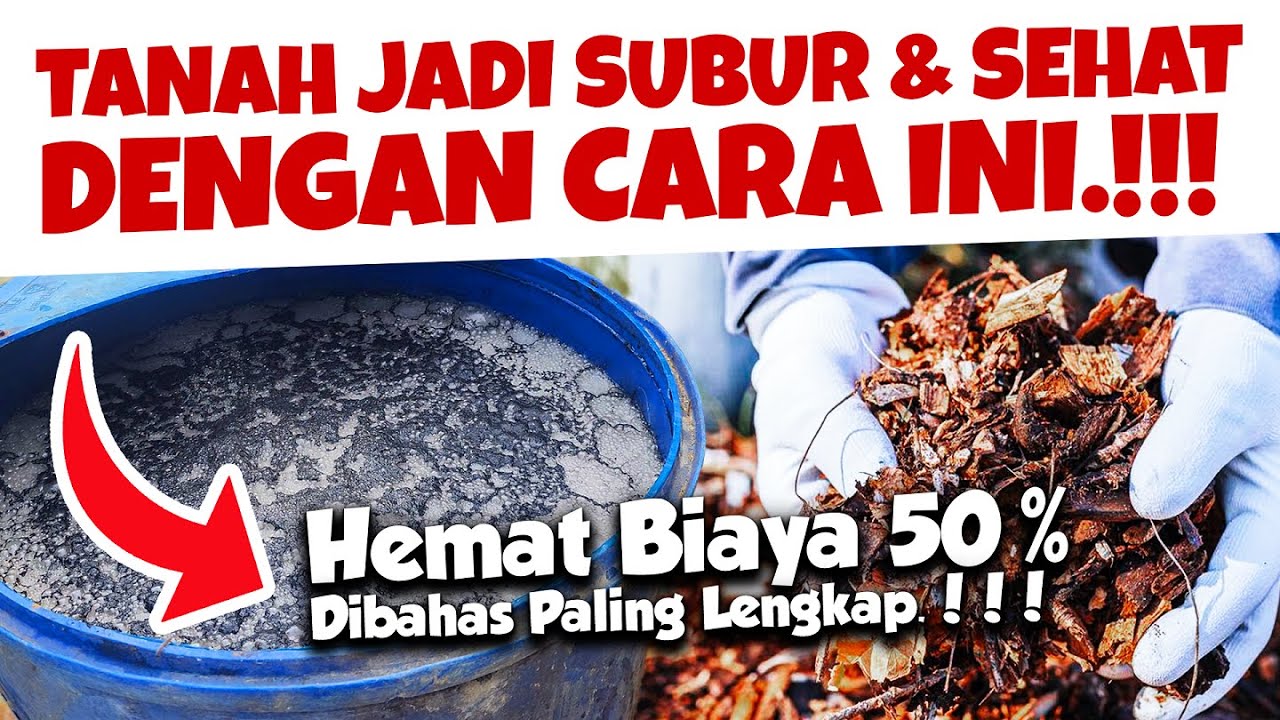 🔴LIVE.🔥🔥🔥TANAH  JADI SUBUR DAN SEHAT DENGAN CARA INI | Hemat Biaya 50% | Tanaman Berbuah Lebat
