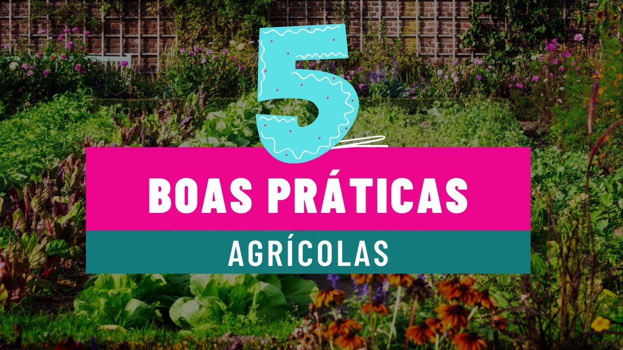 Conheça 5 exemplos de boas práticas agrícolas que deve adotar! #3