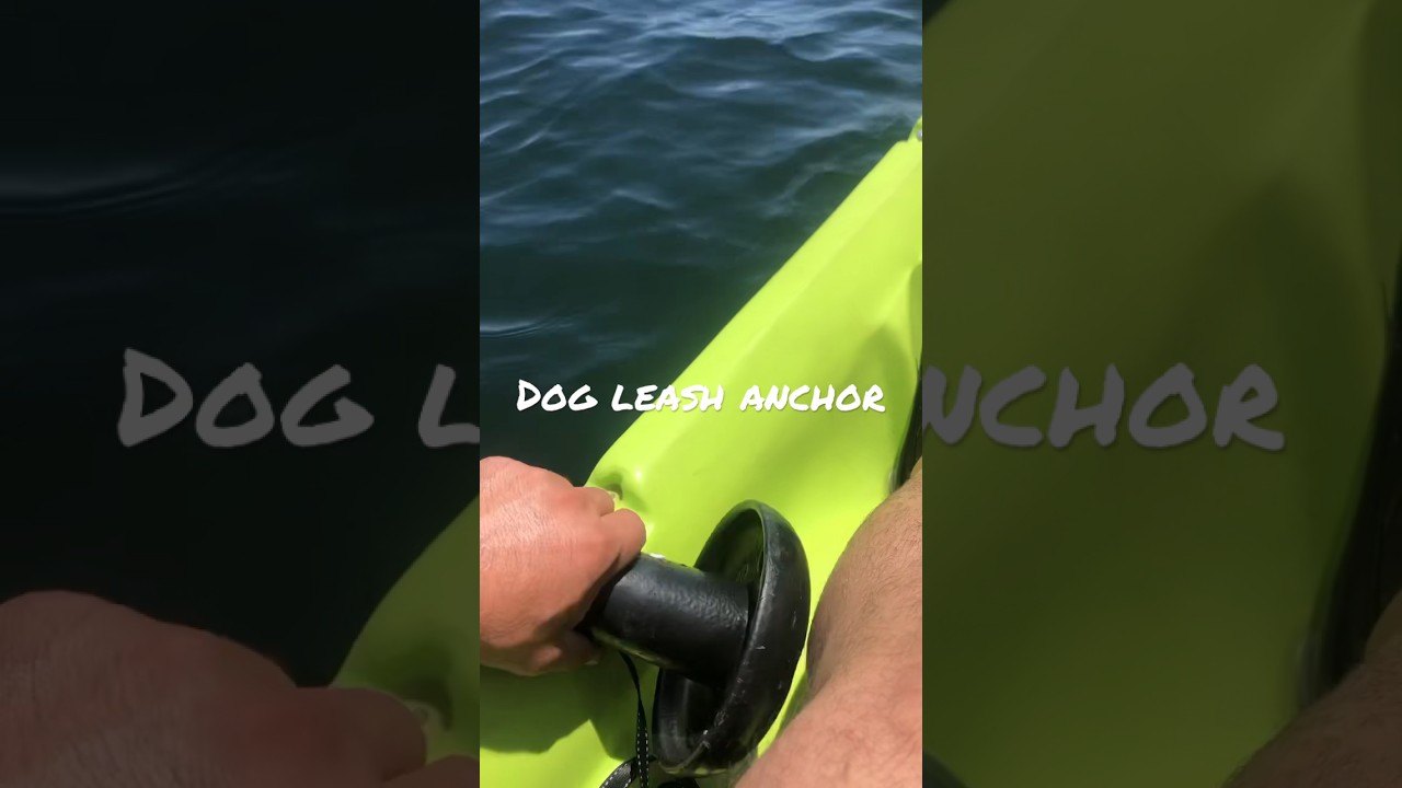 How we drop anchor on our kayak! 16ft Dog leash+ 10lb anchor.