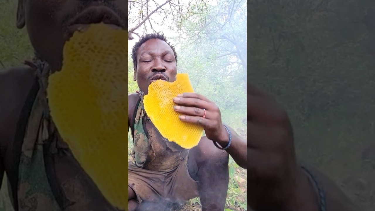 Nature Provides Hadzabe Tribe With Stinging Bees Honey #hadzabetribe #shortsfeed