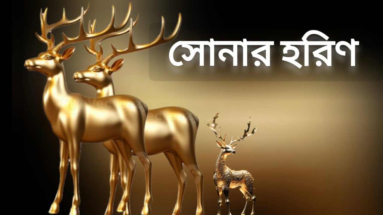 যত বিপত্তি সোনার হরিণ চাওয়াতে ।