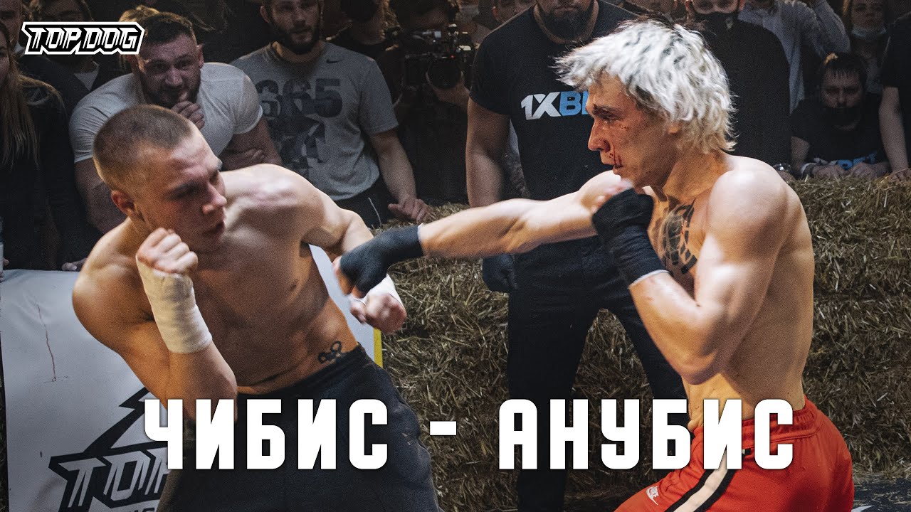 Чибис vs. Анубис | TDFC 7 | бой на голых кулаках