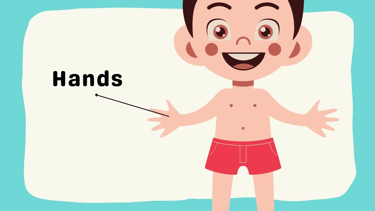 👀✋ My Body – Học Từ Vựng Cơ Thể Siêu Nhanh!