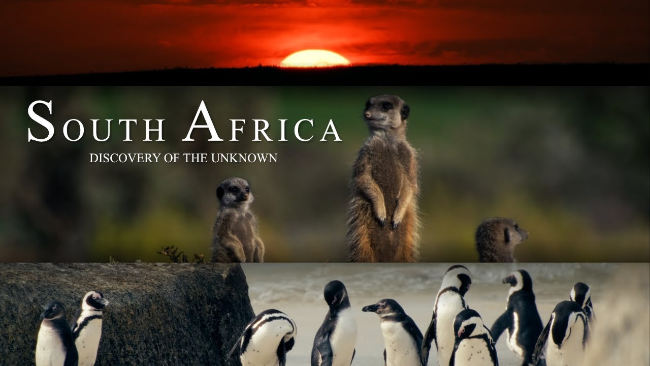 SOUTH AFRICA - Discovery Of The Unknown | A Cinematic Journey