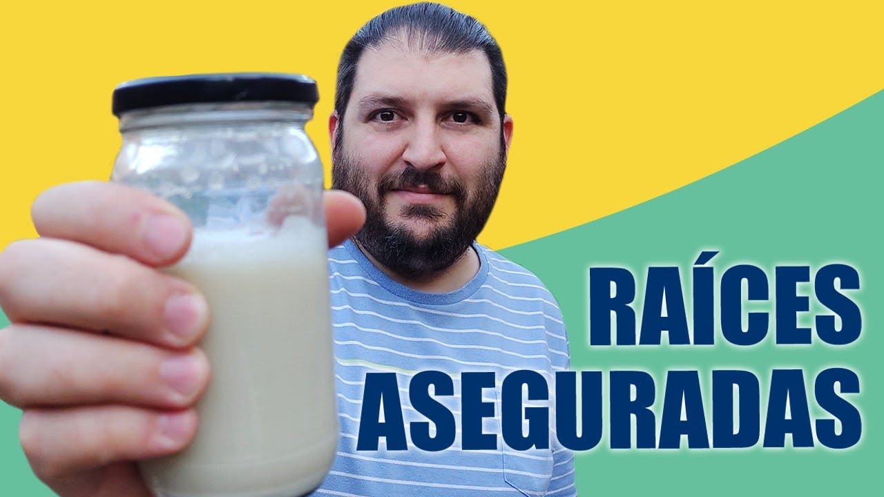 Enraizante casero de lentejas. Con esta receta, tus plantas crecerán seguro.