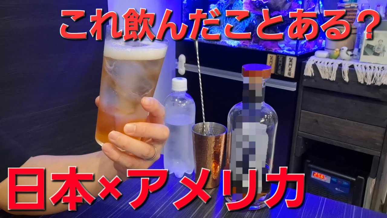 【てづ晩酌】久しぶりに飲むボトルが印象変わった！【ウイスキー】【ハイボール】
