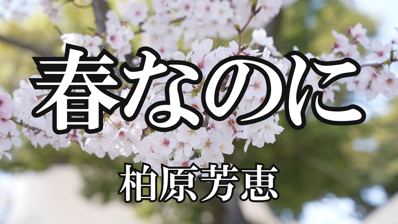 春なのに / 柏原芳恵 (歌詞入り)