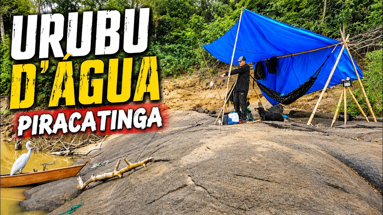 🏕 COMI PEIXE CARNICEIRO MAS É MUITO BOM, MONTEI O ACAMPAMENTO RÚSTICO EM UMA ILHA DE PEDRA