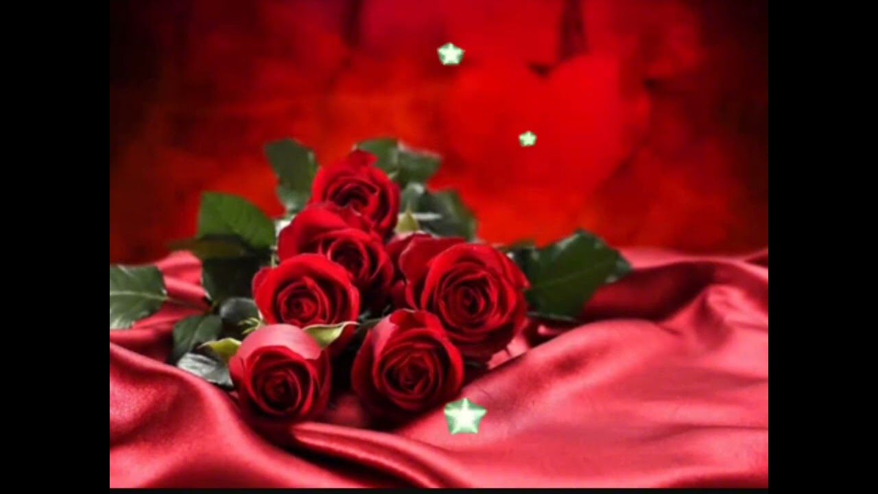 اغاني عيد الحب #من نوع مختلف #2026