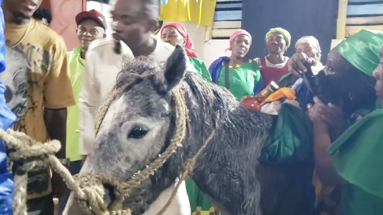 (DAWONMEN DAKÒ)K-ODAY KAY ANPERÈ TOTO,4 JANVYE 2026(4PA4L3)