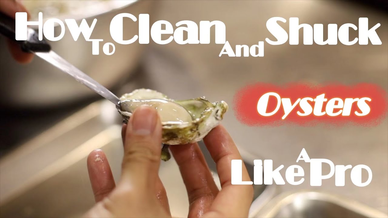 CNY Holiday Special 4 | How To Clean and Shuck Oysters Like A Pro #cookwithcadence