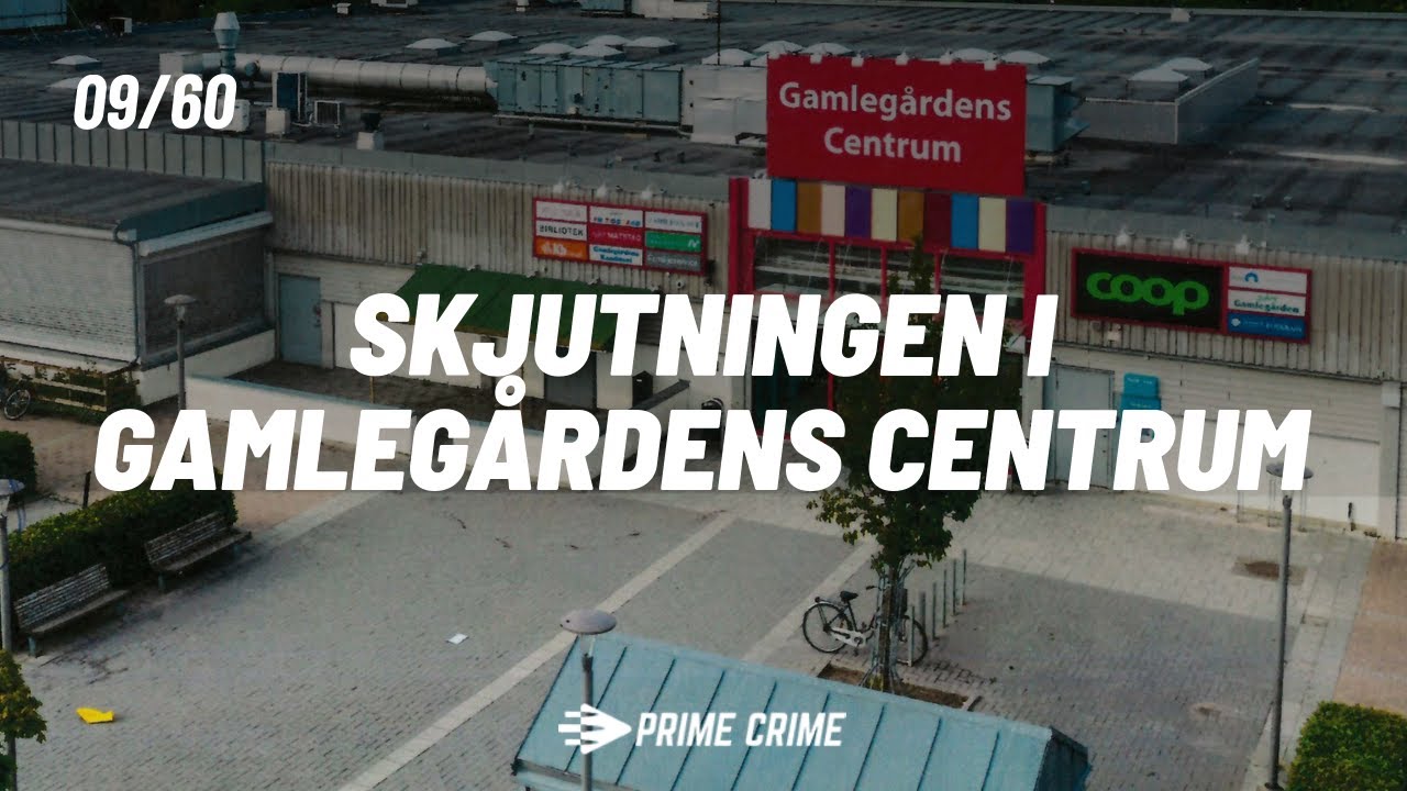 Skjutningen i Gamlegårdens Köpcentrum - Egzon, Målsägande