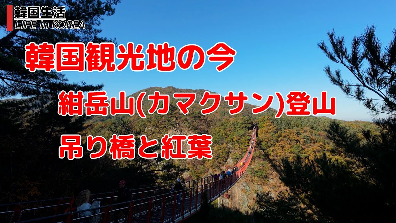 【韓国観光地の今/坡州/4K】紺岳山　吊り橋と紅葉