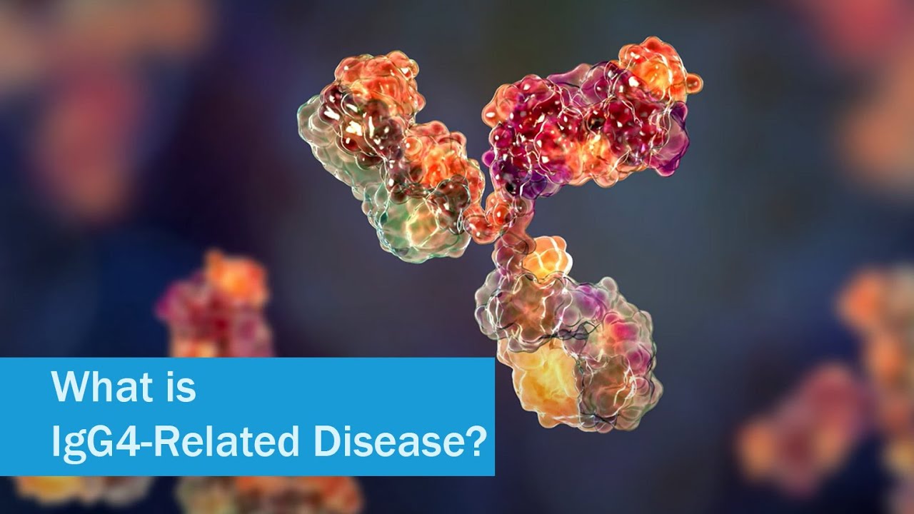 IgG4-RD and You: What is IgG4-RD?
