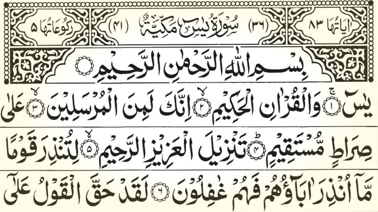 Surah Yaseen Beautiful Recitation ✅ Surah Rahman 💓 Surah Mulk Ki Tilawat | Vol.798