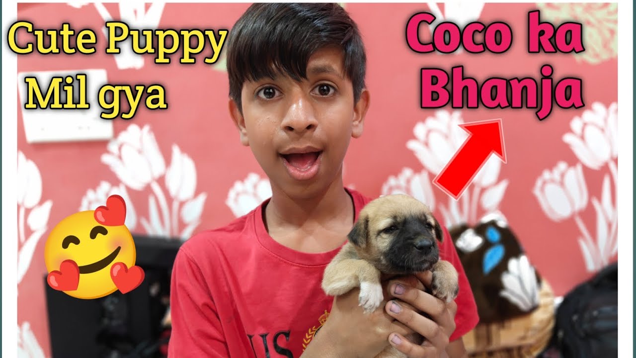 Hame Mila apne Coco ka Bhanja 😃 Cute Puppy 